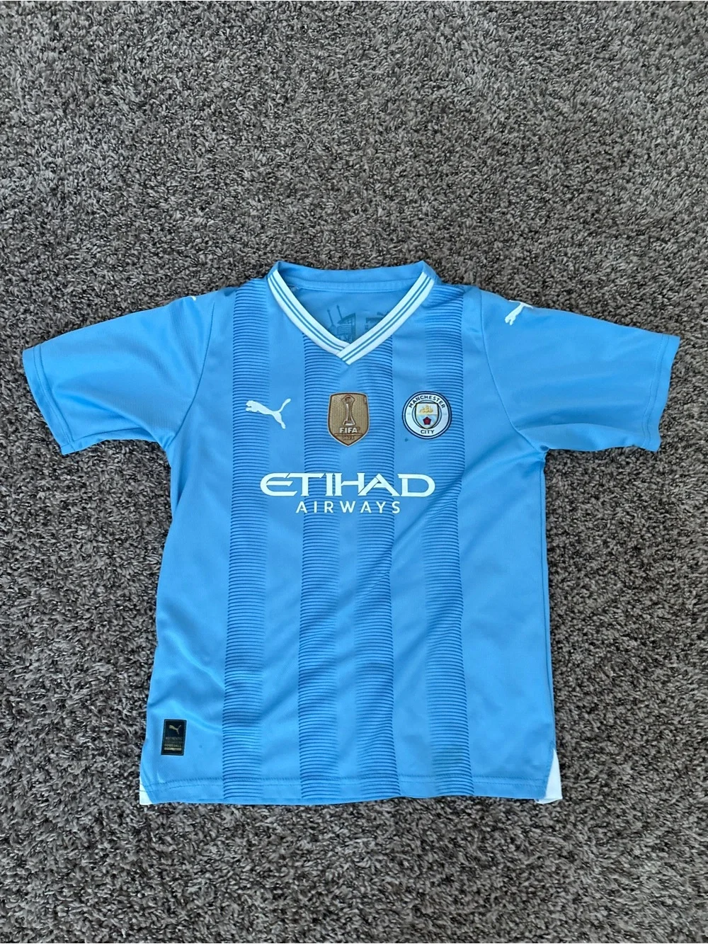 Puma Kids' Sky Blue Manchester City Football Jersey